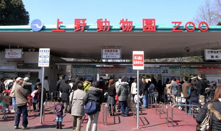 上野動物園開園記念日