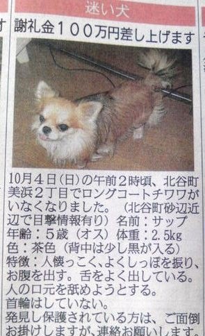 中傷・悪戯も覚悟の上、最優先を選ぶ・・・同感です!