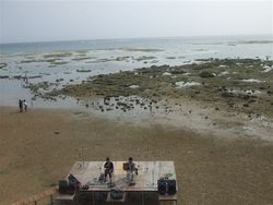 沖縄では海開き、そして海楽・・・