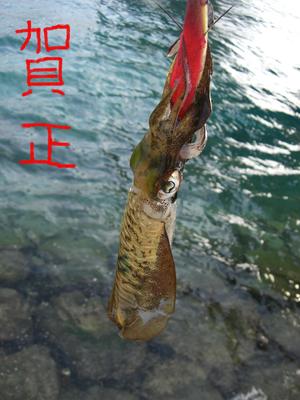 あけましておめでとうございます♪
