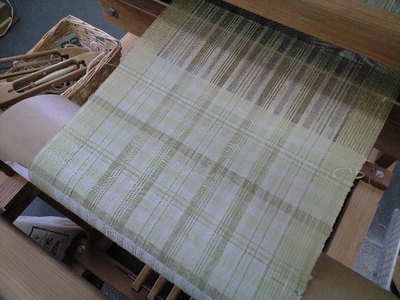 しましまで春がくる