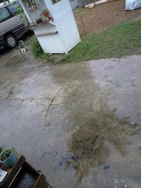 雨音とレバーペースト