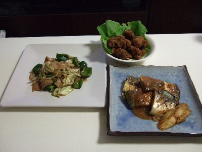 お味噌でホイコーローとうにのり!