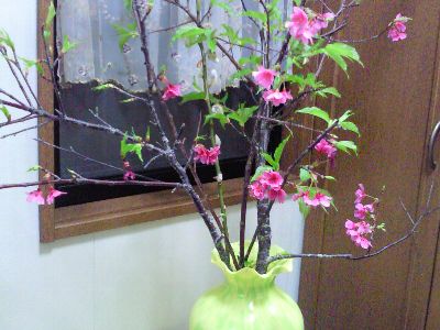 実家ごはん