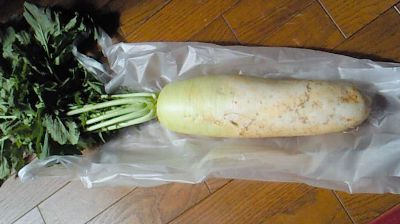 大根葉