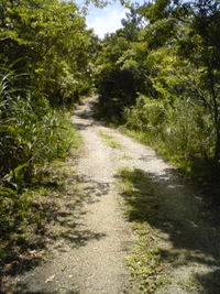 二三日は晴れ。 2008/05/02 19:28:59