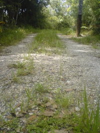 草刈り。 2008/07/28 19:39:39