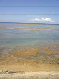 大潮。 2008/08/01 18:40:25