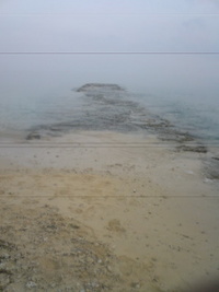 今日の風景。 2008/08/03 19:55:54