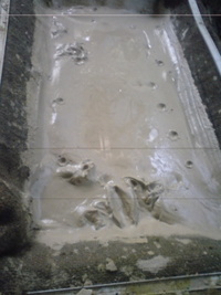 土作り。 2008/08/07 21:27:34