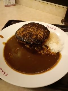 620 円です。結構なボリュームですよ