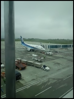 自分が乗ってきた便