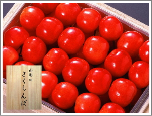 佐藤錦(さとうにしき)