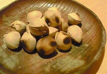 ハマサキのオクサン。