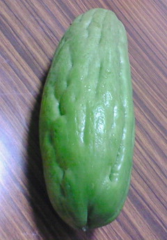 いぼなしゴーヤー。