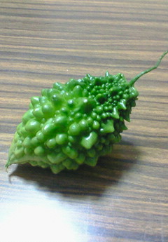 ベランダ菜園。
