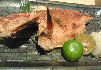 ハマサキのオクサン。
