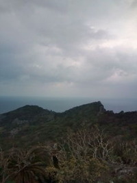 新年あけまして＾＾ 2012/01/01 17:37:20