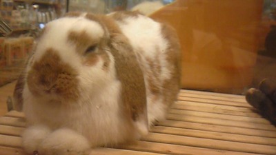 おすまし(笑)