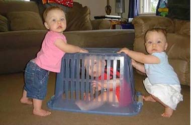 赤ちゃん達の笑える画像
