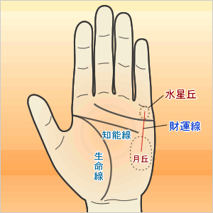 手相 月丘 財運線 手相 月丘 財運線