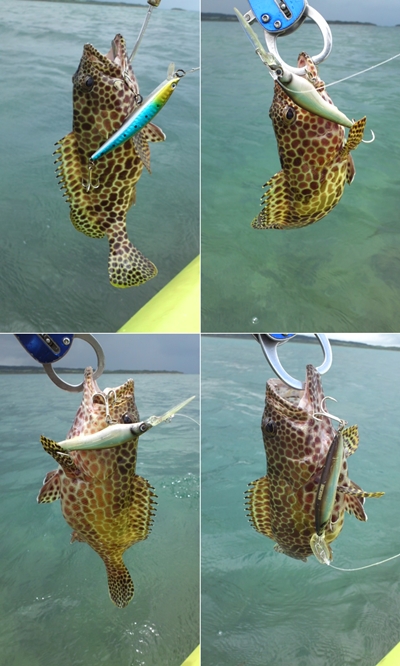 海へ!