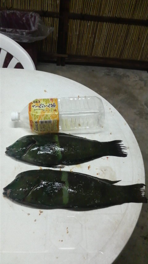 魚釣り