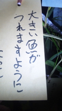 2010年07月06日