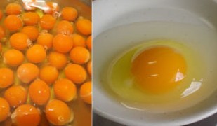 ハーブ たまご 煌き