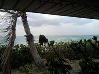 雨、風、太陽、そしてまた雨。 2012/02/07 20:00:00