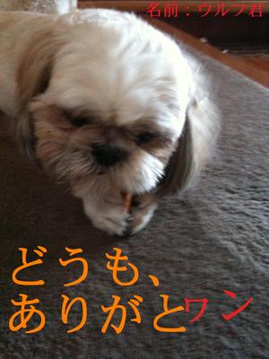 シャッフルボード!!
