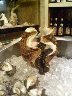 しゃこ貝