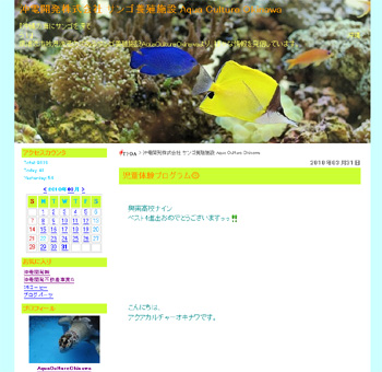 Aqua Culture Okinawa