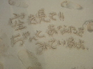 海に行ってみました。