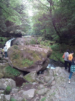 熊本いってきました