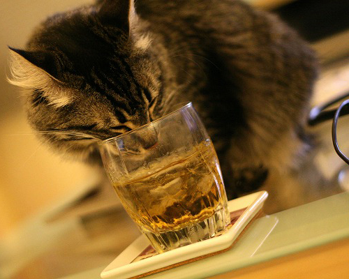 お酒でキレイに。