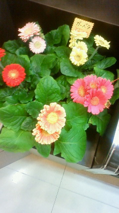 週末days♪