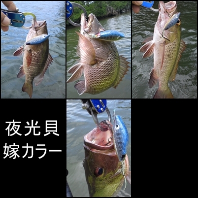 トップMJ始まりました。