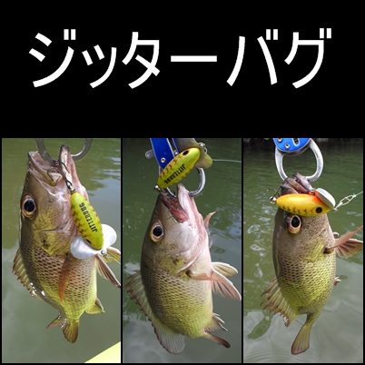 トップMJ始まりました。