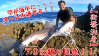 【Shark完結編】竿が海中に突っ込み過ぎる７０キロ級の巨魚