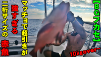 【沖縄ビッグゲーム フカセ釣り】マッチョで超引きが強すぎる、二桁サイズの赤魚～