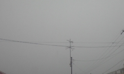 今日も雨です
