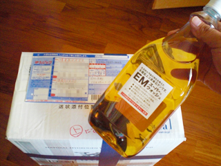 イカ釣り行けずお歳暮準備にパタパタ!