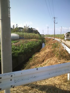 最近の雨続きで水路が・・(^^)