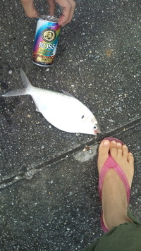 初ゲット☆ 2012/05/04 14:14:36
