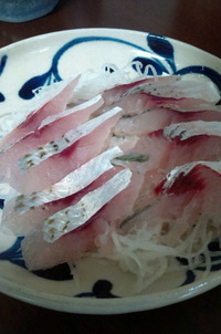 釣れた魚は・・・ 2012/05/04 18:16:16