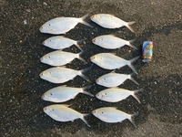 アスツンいろいろ 2012/05/18 19:19:35