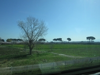 桜 2012/04/09 22:06:33