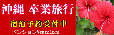 沖縄卒業旅行の宿泊はペンションVentoLuce