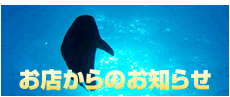 お店からのお知らせ